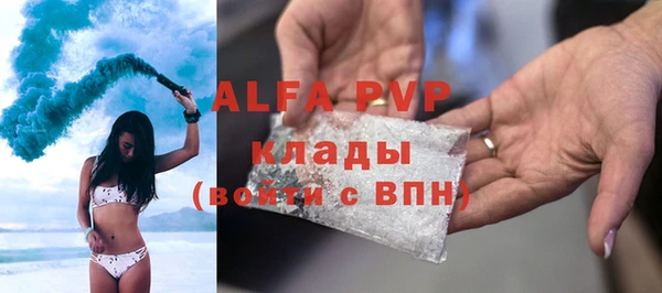 стафф Алексин