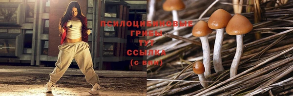 метамфетамин Алексеевка