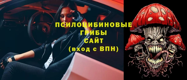 стафф Алексин