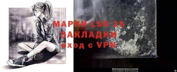 стафф Алексин