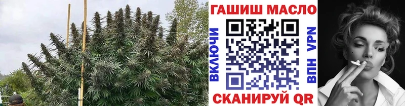 Дистиллят ТГК THC oil  Цоци-Юрт 